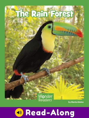 cover image of The Rain Forest